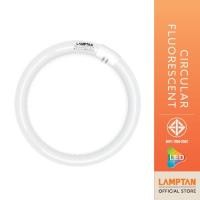 ราคา LAMPTAN หลอดนีออนกลม Circular Fluorescent 32w แสงขาว daylight 32 WATT แสงขาว (10613175)