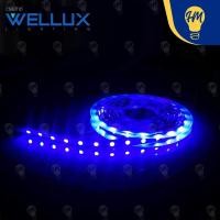 ราคา Wellux ไฟริบบิ้น LED Strip 12V 5050 (5 เมตร) ไฟเส้น Strip LED น้ำเงิน Blue (12112803)