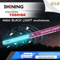 ราคา SHINING BLACK LIGHT by Toshiba หลอดไฟล่อแมงดา หลอดไฟล่อแมลง (12189240)