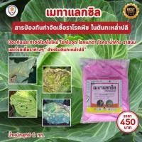 ราคา ฟาร์มเกษตร Metalaxyl เป็นสารเคมีป้องกันกำจัดโรคพืช ประเภทดูดซึม และเร่งฟื้นฟู ด้วยปุ๋ยสตาร์เฟอร์ สำหรับกะหล่ำปลี กำจัดเชื้อรา โรคพืช (12581481)