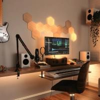 ราคา nanoleaf the cowboy bundle elements hexagons (starter kit 13 panels) แผงไฟลายไม้อัจฉริยะ led (12505408)