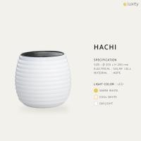 ราคา hachi solar lighting (12158799)