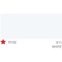 ราคา TOA รูฟเพ้นท์ สีทาหลังคา อเนกประสงค์ สีทาสนาม สีทาพื้น สีทาอิฐตัวหนอน สีทากระถางต้นไม้ ขนาด 3.785 ลิตร R100 สีขาว size TOA (10628140)