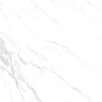 ราคา GRANDHOMEMART กระเบื้อง พื้น RMT 60x60cm CLASSICAL STATUARIO M60P09B 60x60 cm. กระเบื้องพื้น ขาว - (10492846)