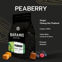 ราคา Baramio เมล็ดกาแฟคั่วดอยช้างพีเบอร์รี่อาราบิก้า 100% ขนาด 250 กรัม คั่วกลางไปเข้ม,ไม่บด (เต็มเมล็ด) (12059850)