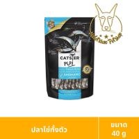ราคา [MALETKHAO] Catster (แคทส์เตอร์) Play ขนมและทอปปิ้งฟรีซดายสำหรับแมว ปลาไข่ทั้งตัว (12070628)