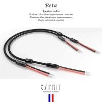 ราคา Esprit Audio Beta Speaker Cable 3M สายลำโพง (New) (12680740)