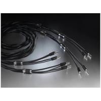 ราคา Esprit Audio Celesta Speaker Cable 3M สายลำโพง (New) (12680741)