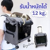 ราคา ่jaywa กระเป๋าแมวล้อลากสะพายเป้ ใส่แมวตัวใหญ่ หมาเล็ก แมวเมนคูน ลากขึ้นบันไดเลื่อน เข้าลิฟท์ เทา 81209-M (12687696)