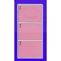 ราคา จริงใจจิปาฐะ ชั้นเก็บของ ชั้นวางของ เอนกประสงค์ ชั้นเก็บของอเนกประสงค์ 3 ช่อง (มีกุญแจ) 3ชั้นกุญแจชมพู (12683846)