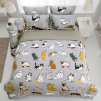 ราคา TULIP Delight Digital Print ชุดเครื่องนอน ผ้าปูที่นอน ผ้าห่มนวม พิมพ์ลาย DLD002 ชุด 6 ฟุต 6 ชิ้น (12702021)