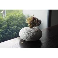 ราคา 103เพเพอโรนี PAPER VASE NO.06 PAPER VASE NO.06 1 PCS MODERN (10751052)