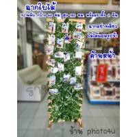 ราคา ร้านฉากกั้นห้อง ฉากกั้นห้อง ฉากใบไม้1บานพับ+ขา2อัน (10768889)