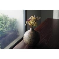 ราคา 103เพเพอโรนี PAPER VASE NO.11 PAPER VASE NO.11 1 PCS MODERN (10751057)
