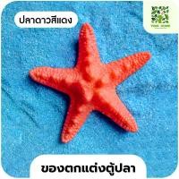 ราคา yomi home ตู้ปลาเลโก้ ตู้ปลาขนาดเล็ก เหมาะสำหรับเลี้ยงปลากัด ปลาดาวแดง*1 (10944196)