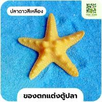 ราคา yomi home ตู้ปลาเลโก้ ตู้ปลาขนาดเล็ก เหมาะสำหรับเลี้ยงปลากัด ปลาดาวสีเหลือง*1 (10944173)