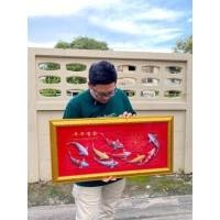 ราคา กิตติกรอบรูป [13x29 นิ้ว] ภาพปลาคราฟมงคล 9 ตัว กรอบรูปปลาคราฟ 9 ตัว เสริมฮวงจุ้ย เพิ่มบารมี ภาพปลาคราฟมงคล พื้นสีแดง (12141779)