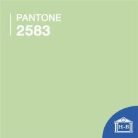 ราคา Home Best 100ซม วอลเปเปอร์สีพื้น สติ๊กเกอร์ติดผนัง ขนาดกว้าง 45ยาว 100ซม 1เมตร หลากสี เกรดa wallpaper ติดผนัง มีกาว ตัดยาวต่อเนื่อง 2583 (12145545)