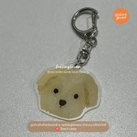 ราคา callingbrown พวงกุญแจ อคริลิค อะคริลิค หมา [ขั้นต่ำ2ชิ้น] พวงกุญแจ มอลทิพู (12238156)