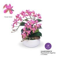 ราคา Handitop แจกันดอกไม้ของขวัญให้เพื่อน HAAR210008 Rhynchostylis Gigantic x 2 Stems สูง 32 ซม. มีให้เลือกใช้ 7 สี ชมพู (12331365)