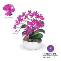 ราคา Handitop แจกันดอกไม้ของขวัญให้เพื่อน HAAR210008 Rhynchostylis Gigantic x 2 Stems สูง 32 ซม. มีให้เลือกใช้ 7 สี ออคิด (12331367)