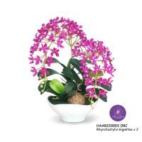 ราคา Handitop แจกันดอกไม้ปลอมกล้วยไม้ช้างกระ HAAR220003 Rhynchostylis Gigantic x 2 Stems กลีบดอกเป็นผ้าใยสังเคราะห์เคลือบ สี ลาเวนเดอร์ ชมพู ออคิด ครีม ออค (12328210)