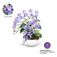 ราคา Handitop แจกันดอกไม้ของขวัญให้เพื่อน HAAR210008 Rhynchostylis Gigantic x 2 Stems สูง 32 ซม. มีให้เลือกใช้ 7 สี ลาเวนเดอร์ (12331366)