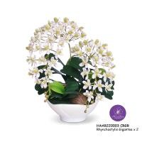 ราคา Handitop แจกันดอกไม้ปลอมกล้วยไม้ช้างกระ HAAR220003 Rhynchostylis Gigantic x 2 Stems กลีบดอกเป็นผ้าใยสังเคราะห์เคลือบ สี ลาเวนเดอร์ ชมพู ออคิด ครีม ครี (12328212)