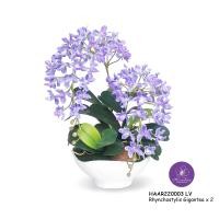 ราคา Handitop แจกันดอกไม้ปลอมกล้วยไม้ช้างกระ HAAR220003 Rhynchostylis Gigantic x 2 Stems กลีบดอกเป็นผ้าใยสังเคราะห์เคลือบ สี ลาเวนเดอร์ ชมพู ออคิด ครีม ลาเ (12328208)