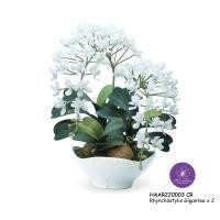 ราคา Handitop แจกันดอกไม้ปลอมกล้วยไม้ช้างกระ HAAR220003 Rhynchostylis Gigantic x 2 Stems กลีบดอกเป็นผ้าใยสังเคราะห์เคลือบ สี ลาเวนเดอร์ ชมพู ออคิด ครีม ครี (12328211)