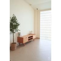 ราคา MAAI Design Saido ชั้นวางทีวี ตู้วางทีวี sideboard 150cm ชั้นวางของ ตู้เก็บของ M Oak 11202 MAAI Design Saido (10649877)
