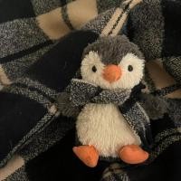 ราคา PP Home ตุ๊กตาพวงกุญแจนกเพนกวิ้น penguin keychain cute penguin puschies ที่ห้อยกระเป๋าเพนกวิน พวงกุญแจ 13 CM นกเพนกวิน (12502538)