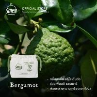 ราคา Smell Lemongrass Refill Air Freshener 30Gx4 รีฟิลก้อนหอมปรับอากาศ 30 กรัม บรรจุ 4 ก้อน คุ้มค่าใช้ได้นาน (มีหลายกลิ่น) Refill Bergamot (12586512)