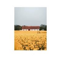 ราคา Loadingofficial-รูปภาพวิวทิวทัศน์ ดีไซน์หน้าต่างมูลี่ สามารถใช้งานได้จริง 7 (12586108)