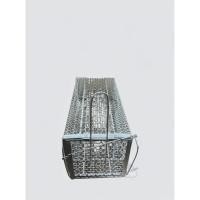 ราคา จริงใจจิปาฐะ กรงดักหนู มี 2 ขนาด เป็นเหล็ก มีของตลอดเวลา เล็ก13x28x12cm (12686607)