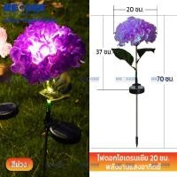 ราคา Neobee ไฟปักสนามโซล่าเซลล์ ดอกไฮเดรนเยีย โคมไฟดอกไม้ ตกแต่งสวน กลางแจ้ง กันน้ำ Solar-Hydrangea 1LED-Purple (12706166)