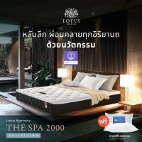 ราคา Lotus ที่นอนสปริง สเปคแน่นสบาย รุ่น The Spa 2000 หนา 10 นิ้ว แถมฟรี หมอนหนุนกันไรฝุ่น 6feet 6 ฟุต (10727684)