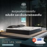 ราคา Lotus ที่นอน สเปคสมดุลลงตัว รุ่น The Spa 3000 หนา 12 นิ้ว ฟรี หมอนหนุนสุขภาพกันไรฝุ่น 6feet 6 ฟุต (10727765)