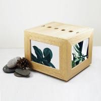 ราคา Plank deco กล่องอัลบั้มรูป ผลิตจากไม้แท้ 19x15x5 สีไม้ธรรมชาติ (10172197)