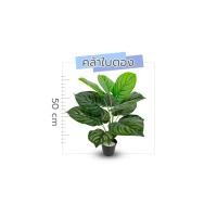 ราคา ปูหญ้าเทียม VG ต้นไม้ปลอมคุณภาพสูง คล้าใบตอง 50ซม. กระถางดำ (10323275)