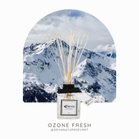 ราคา DEVA Nature's Secret ก้านไม้หอมปรับอากาศ น้ำหอมในบ้าน ก้านไม้หอมอโรมา ปรับอากาศห้องหอม สดชื่น [พร้อมส่ง] Ozone Fresh ก้านไม้ขาว (10411842)