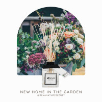 ราคา DEVA Nature's Secret ก้านไม้หอมปรับอากาศ น้ำหอมในบ้าน ก้านไม้หอมอโรมา ปรับอากาศห้องหอม สดชื่น [พร้อมส่ง] New home in the garden ก้านไม้ขาว (10411840)