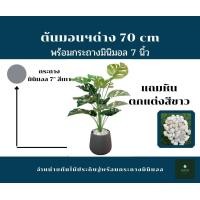 ราคา GREENLEAF.ARTIFICIAL ต้นมอนสเตอร่าไทคอน มอนด่าง สูง 70 cm สี เทา (10436532)