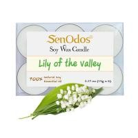 ราคา SenOdos เทียนหอมอโรม่า Lily of the Valley Soy Candles 15g x 6pcs - กลิ่นลิลลี่ ออฟ เดอะ แวลเลย์ 15 g. (6 PCS) Lily of the Valley (10436979)