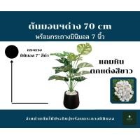ราคา GREENLEAF.ARTIFICIAL ต้นมอนสเตอร่าไทคอน มอนด่าง สูง 70 cm ดำ (10436533)