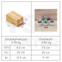 ราคา YSB CENTER ต้นไม้ปลอมสำหรับตกแต่งบ้าน เซ็ต 5 ชิ้น สีใบไม้ SET A ต้นไม้ปลอม (10511833)