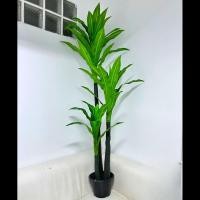 ราคา ปูหญ้าเทียม วาสนา 180 ซม. กระถางดำ (10526610)