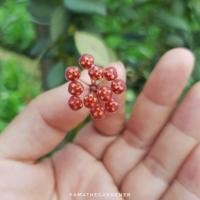 ราคา Pamathegardener โฮย่า มณีแดง ธรรมชาติ 4 นิ้ว โฮย่า (10547752)