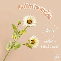ราคา THE PIIXY.CO ดอกทานตะวันเล็ก ขาว (10580852)