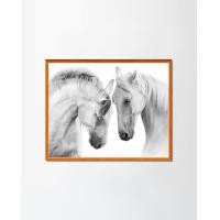 ราคา PENNELLO รูปภาพแต่งบ้านใส่กรอบพร้อมแขวน Couple Of White Horses Dark Wood M (40x50CM) Mount (10621690)